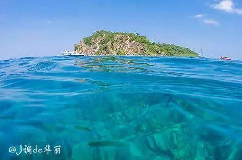 冷知识分享平台-求大神帮忙猜一下这是什么车带你探索未知奇趣
